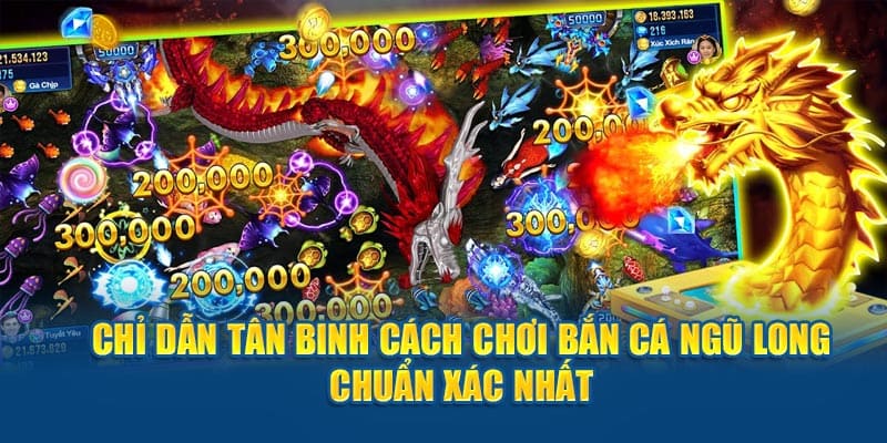 bắn cá ngũ long nhà cái Rikvip