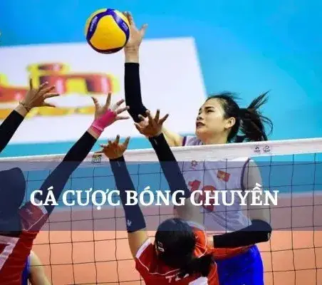 cá cược bóng chuyền nhà cái Rikvip