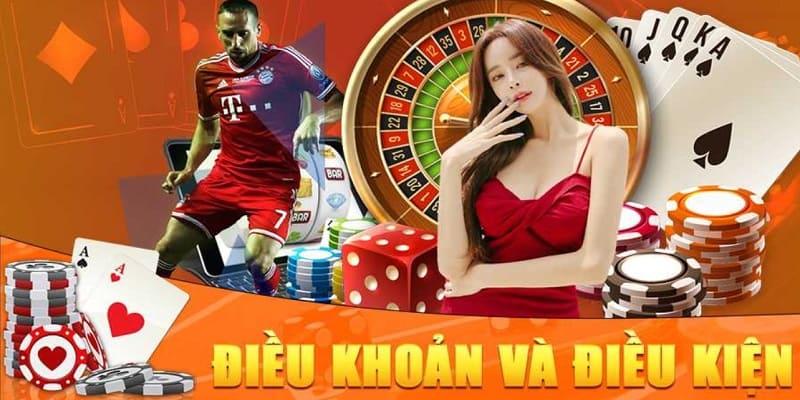 Khái quát về điều khoản điều kiện nhà cái Rikvip