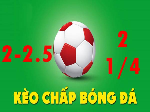 Chiến thuật cá cược kèo chấp 2 2.5 bóng đá nhà cái Rikvip