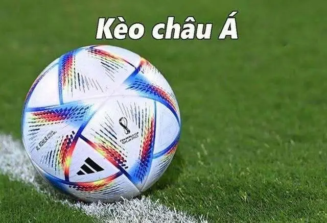 kèo châu á nhà cái Rikvip