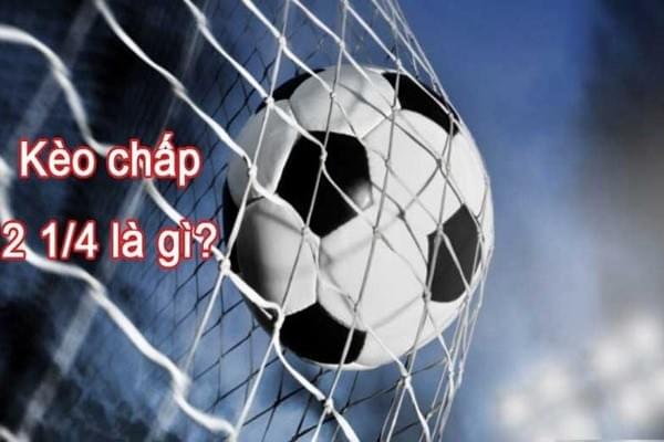 tài xỉu 2 1/4 nhà cái Rikvip